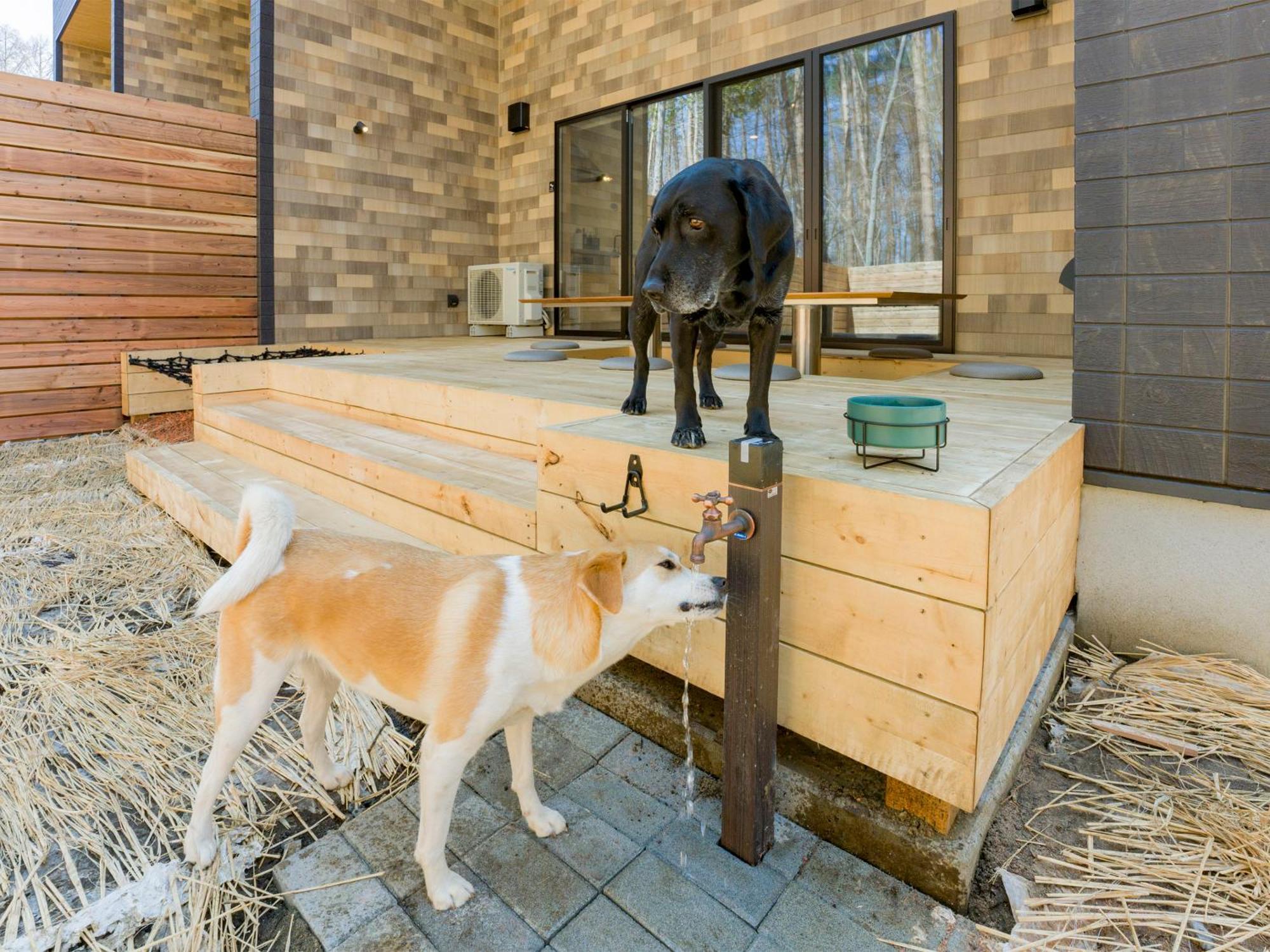 Rakuten Stay Villa Fujikawaguchiko Forest Kültér fotó