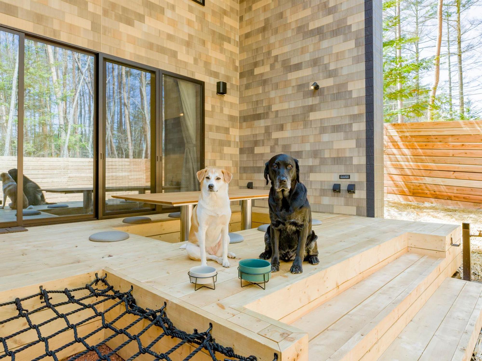 Rakuten Stay Villa Fujikawaguchiko Forest Kültér fotó